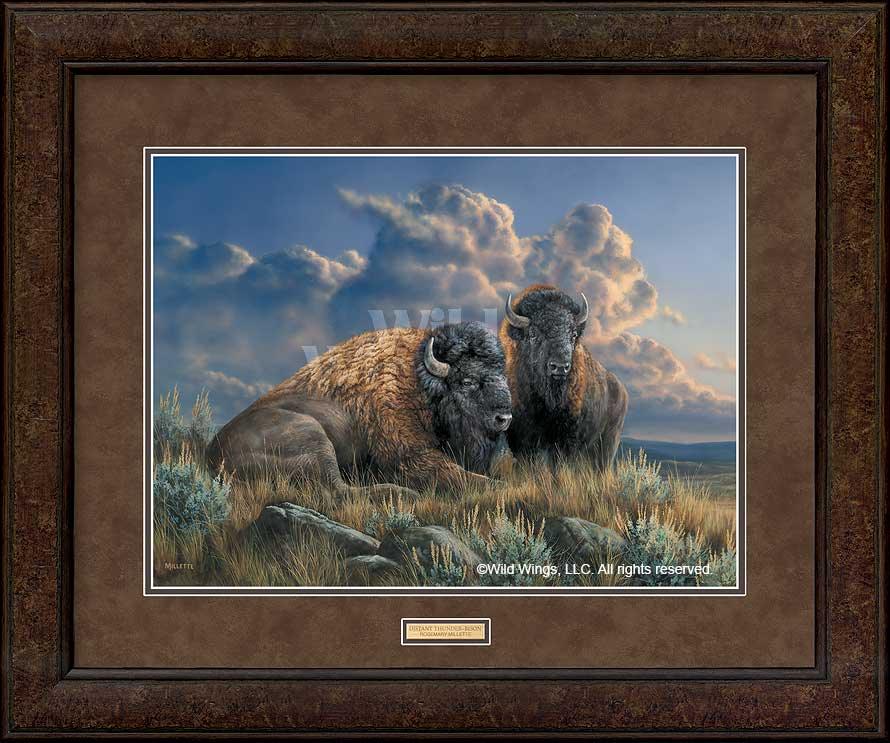 framed-bison-art-print-distant-thunder-by-rosemary-millette-EPR5932169-Dd_8cf12485-ef9f-4c09-9c36-073f8f7478c5.jpg