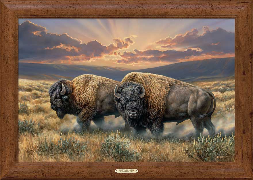 framed-bison-canvas-art-print-dusty-by-plains-by-rosemary-millette-F593130469Gd.jpg