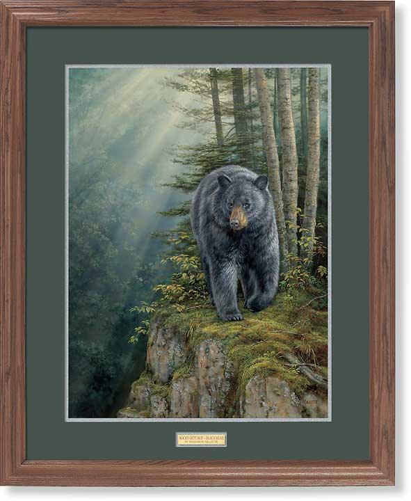 framed-black-bear-art-print-rocky-outcrop-by-rosemary-millette-ELT1921175d.jpg