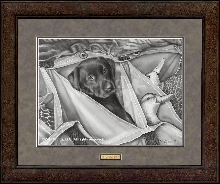framed-black-lab-puppy-drawing-art-print-by-bob-barnette-EPR0457056Dd_fbae9826-2b4a-4f0e-9ef0-805b284ac5a7.jpg