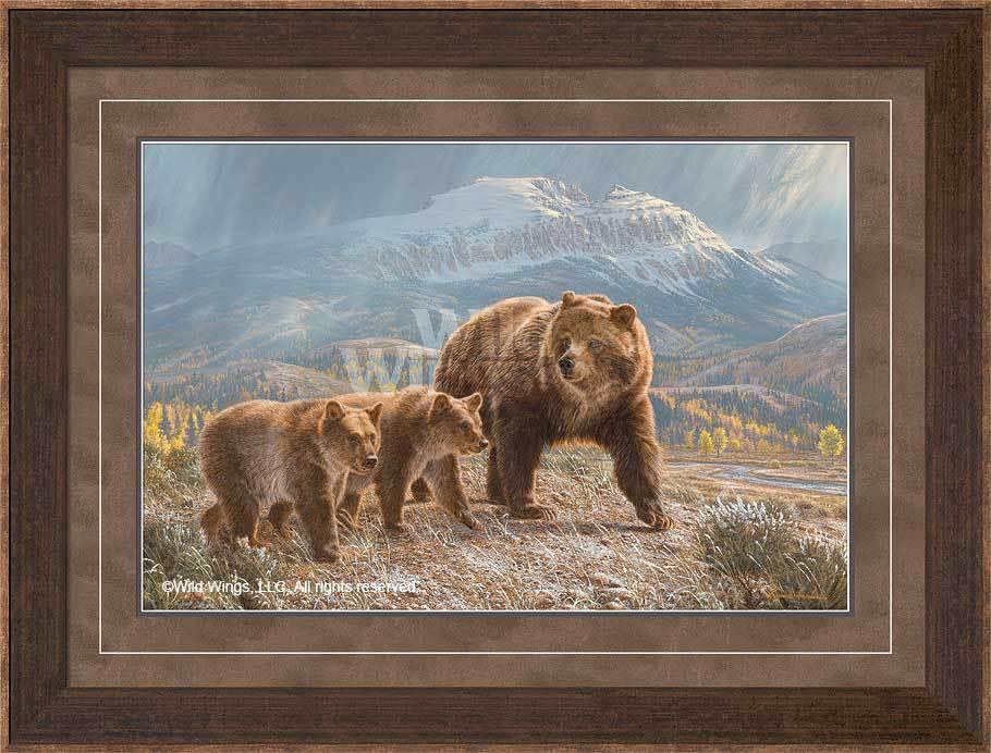 Under the Sleeping Giant - Grizzly - Limited Edition Paper – Wild Wings