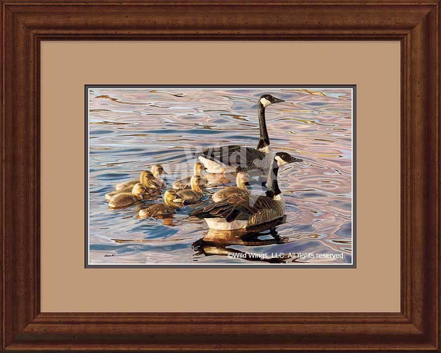 framed-canada-geese-art-print-canadian-armada-by-john-aldrich-F015315003d_8efc7820-6057-4597-9229-a79d75cb3905.jpg