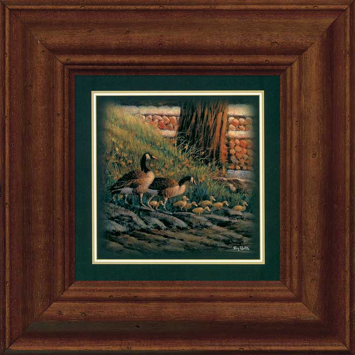 framed-canada-geese-art-print-our-first-swim-by-terry-redlin-F701510804Cd.jpg