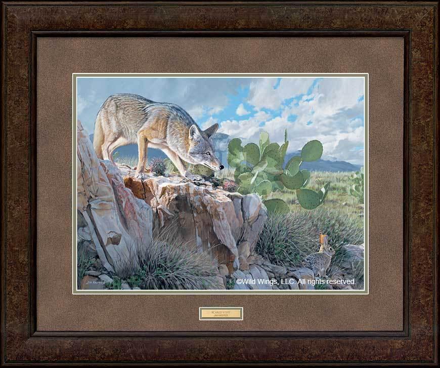 framed-coyote-rabbit-art-print-scared-stiff-by-jim-kasper-ELT1214371Dd_50577bc7-2f1a-45f7-a57e-0d0afafc95e1.jpg