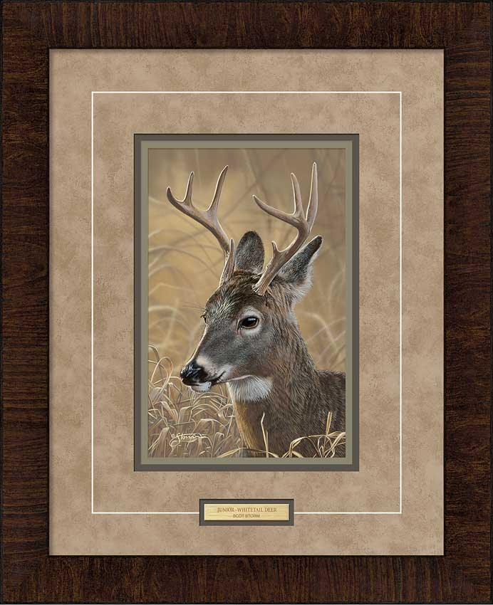 framed-deer-art-print-junior-by-scot-storm-F830476065d.jpg