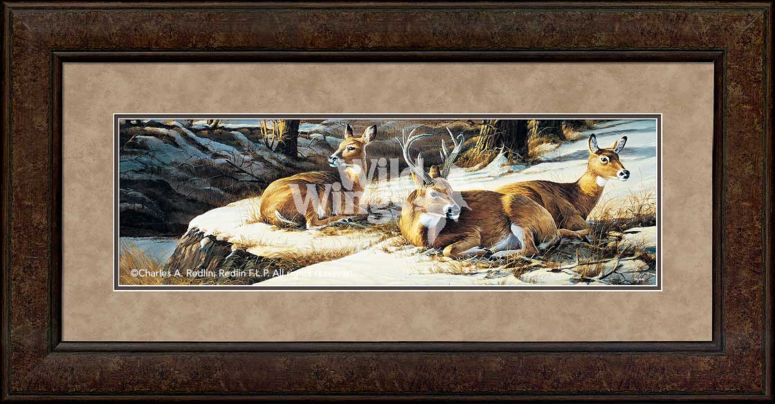 framed-deer-art-print-sunny-afternoon-by-terry-redlin-F701539689Cd.jpg