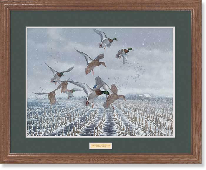 framed-ducks-art-print-northern-flight-mallards-by-michael-sieve-ELT2412201d_cfc6f031-738a-4c0d-8e02-82e48bfa3451.jpg