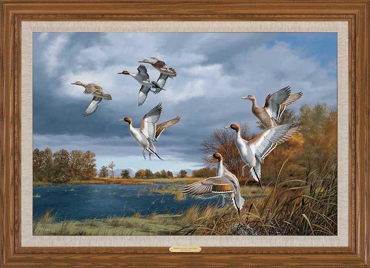 framed-ducks-canvas-art-rapid-ascent-pintails-by-david-maass-F540655002d_07714bd5-d4a3-43c7-85e2-68d74617e8ac.jpg
