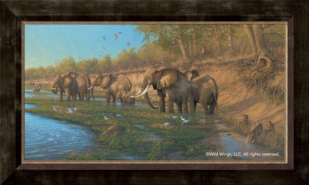 framed-elephant-canvas-art-on-the-banks-of-the-great-zamezi-by-michael-sieve-F780584479d_e6538138-fbfa-473d-9470-96983d49c63d.jpg