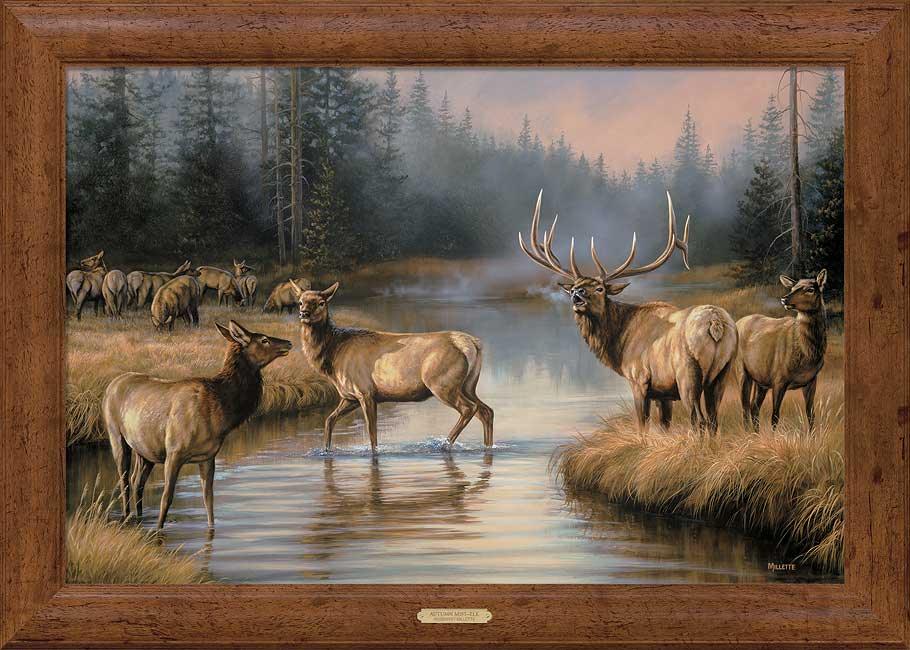 framed-elk-canvas-art-autumn-mist-by-rosemary-millette-F593010566d.jpg