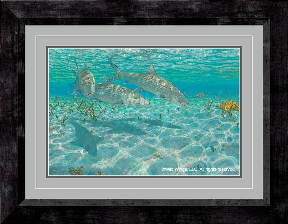 framed-fish-art-print-ghosts-bonefish-by-mark-susinno-F835280052d_20792282-6c90-4bf4-85f8-6b0707f4cc17.jpg