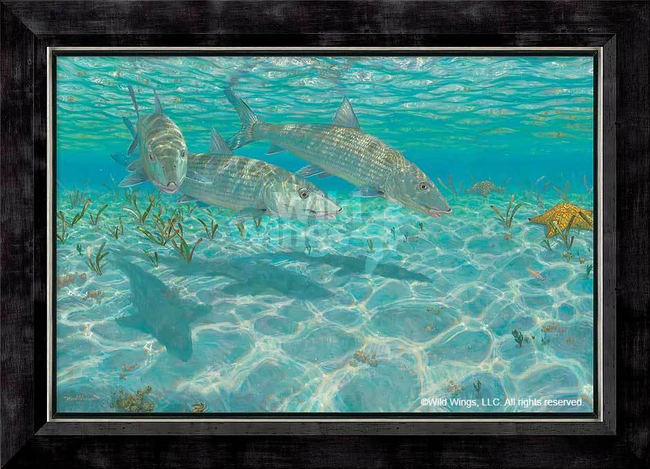 framed-fish-canvas-art-ghosts-bonefish-by-mark-susinno-F835280452d_9d47d857-1132-47c9-8242-0cb817499db4.jpg