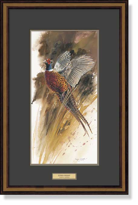 framed-flushed-pheasant-art-by-janene-grende-F351045019d.jpg