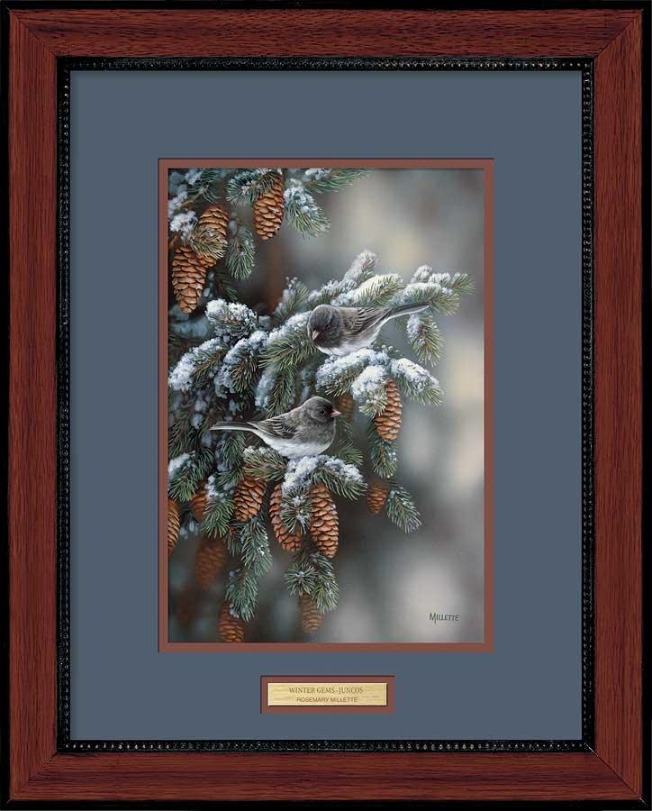framed-juncos-birds-art-print-winter-gems-by-rosemary-millette-f593853049d.jpg