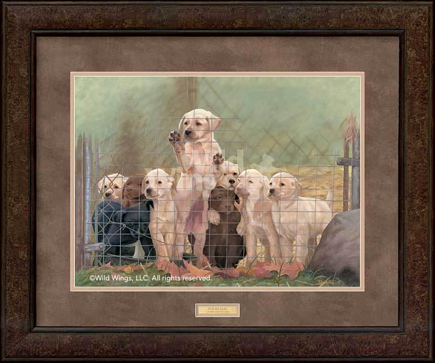 framed-lab-puppies-art-print-pick-me-by-larry-beckstein-EPR0475156Dd_05e63cb4-f411-41d5-86e5-500870eacbea.jpg