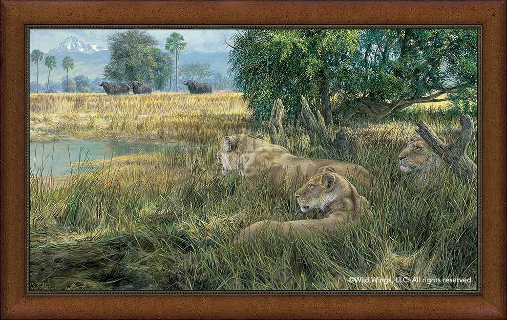 framed-lions-canvas-art-ladies-in-waiting-by-ron-van-gilder-F913420479d_008e2597-e145-462a-87c3-2e43c2b6b2c6.jpg