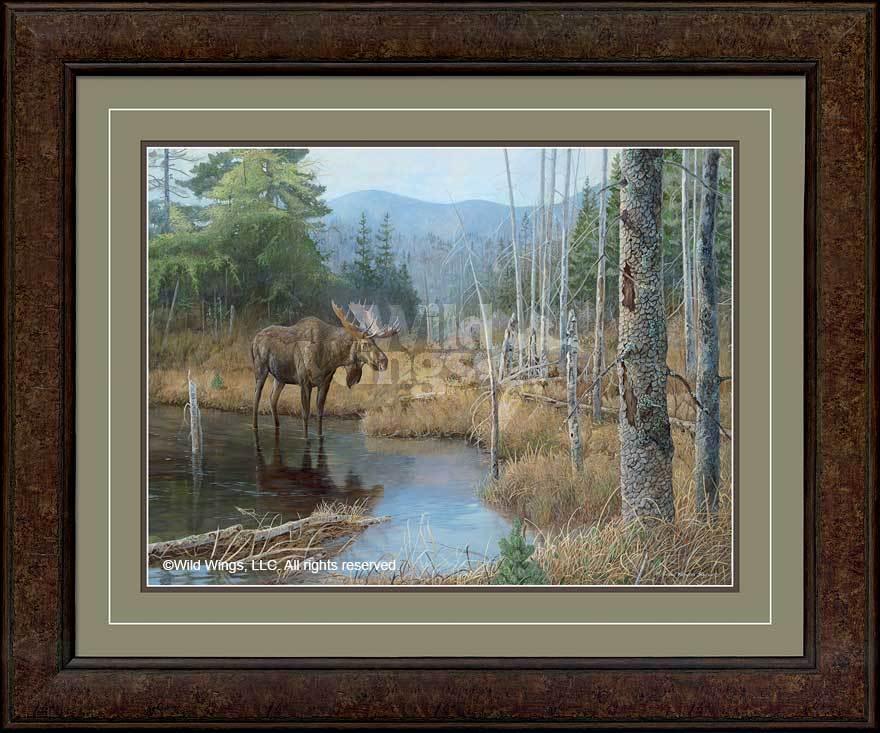 framed-moose-art-print-big-boy-by-susan-knowles-jordan-F419095068d_8eb4749a-b4f3-4ccd-ae74-0d5a718a811a.jpg