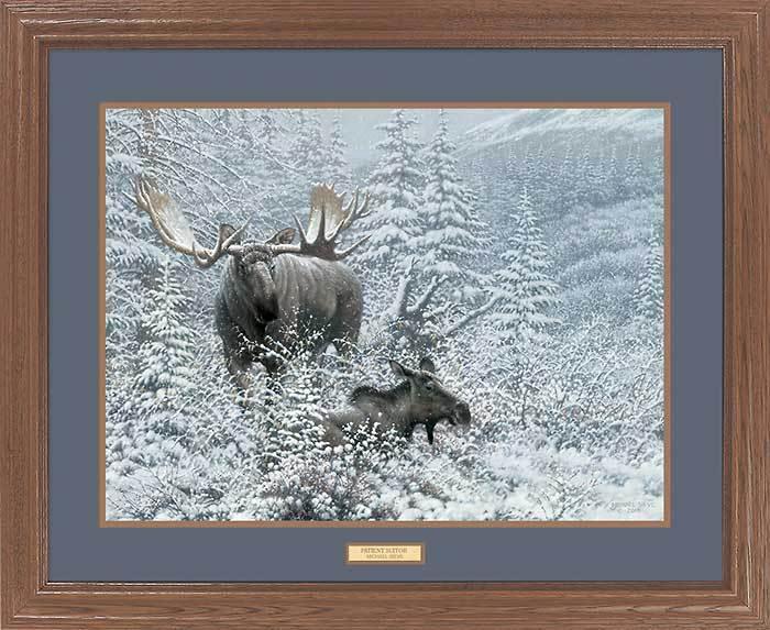 framed-moose-art-print-patient-suitor-by-michael-sieve-EPR7804868d_2983a58a-7583-4ab1-b06e-52a1873411e4.jpg