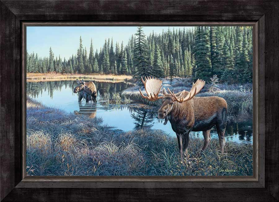 framed-moose-canvas-art-now-showing-by-jim-kasper-F423533468d.jpg