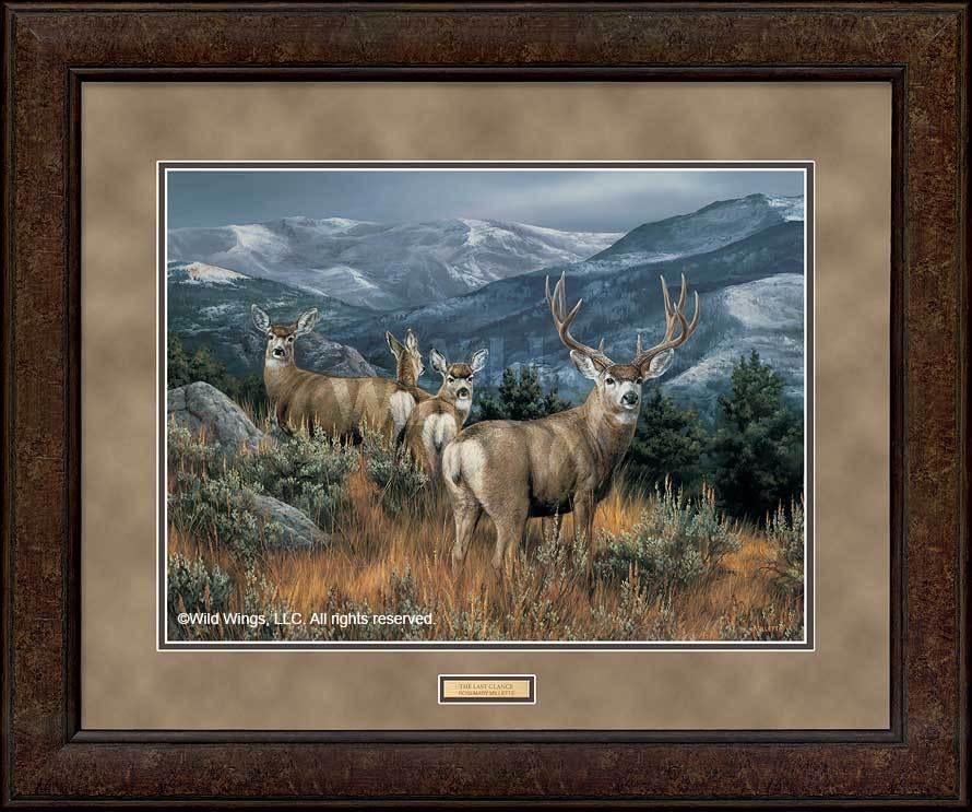 Last Glance-Mule Deer Art Collection – Wild Wings