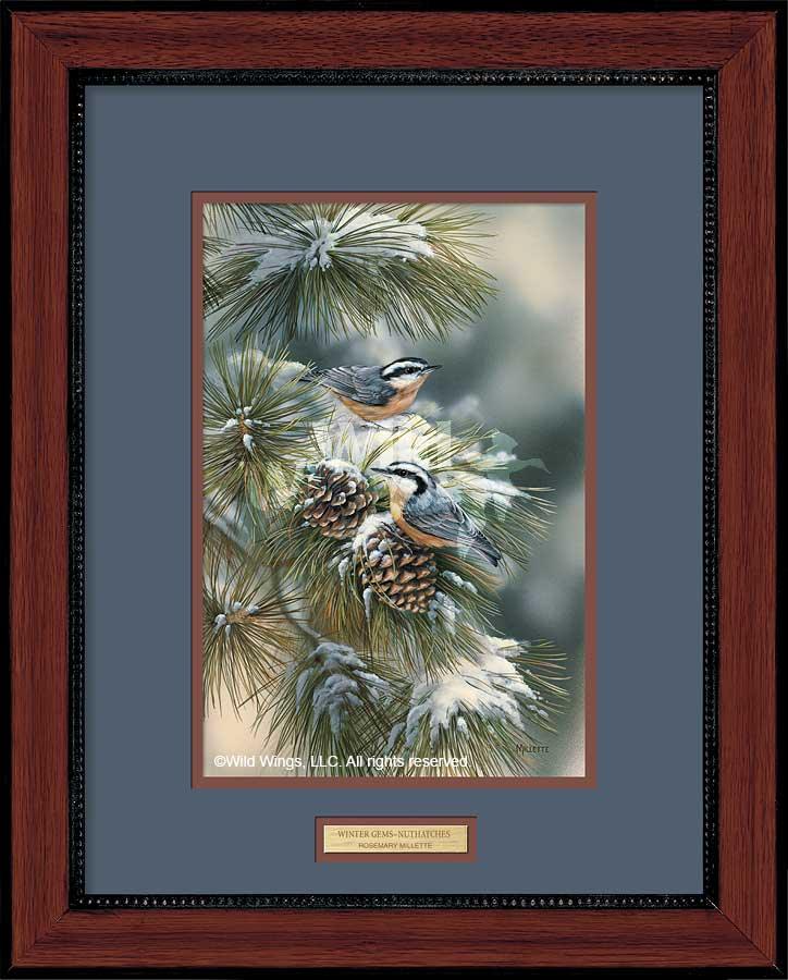 framed-nuthatches-art-print-winter-gems-by-rosemary-millette-f593854049d.jpg