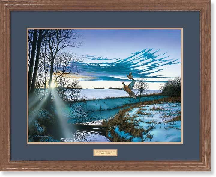 framed-pheasant-art-crisp-winter-light-by-anthony-padgett-ELT2120019d_bd4d7306-b931-4a5c-a191-9d8a181e8c75.jpg