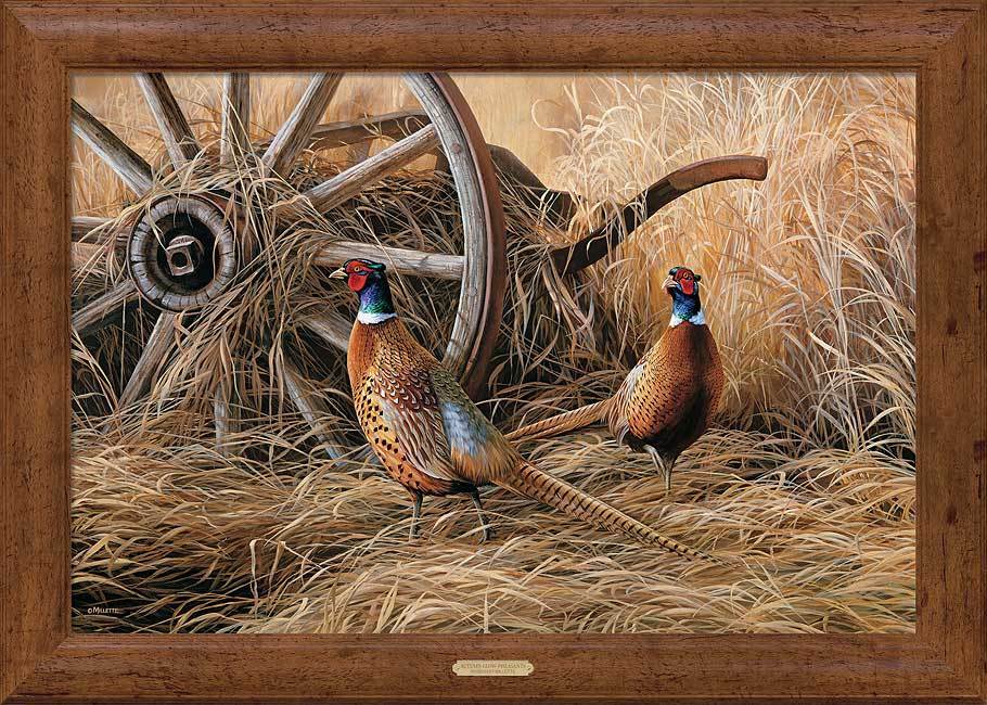 framed-pheasant-canvas-art-autumn-glow-by-rosemary-millette-F593007419Od_dc3a895f-3bf0-46d9-93c1-d49829025986.jpg