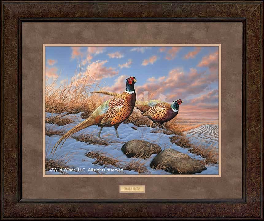 framed-pheasants-art-standing-ground-by-rosemary-millette-ELT1922519dd_166fa56b-55e5-457c-8b48-30639d1d7885.jpg