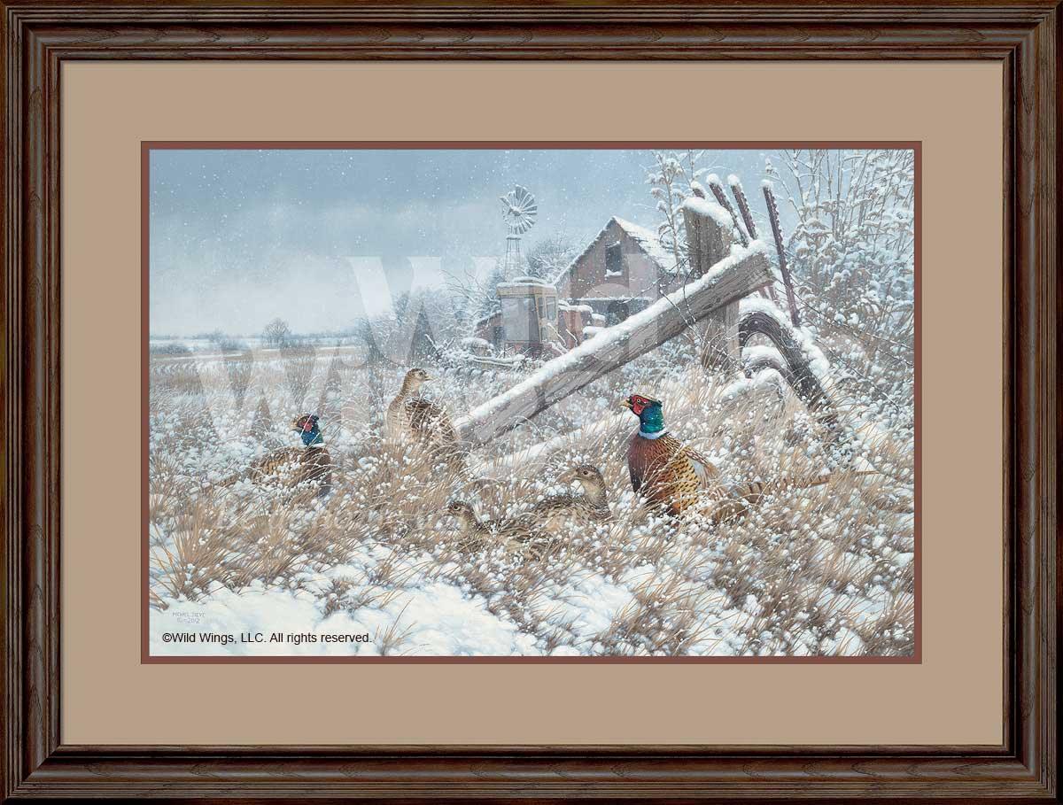 framed-pheasants-in-winter-art-print-hunkered-down-by-michael-sieve-F780309619d.jpg