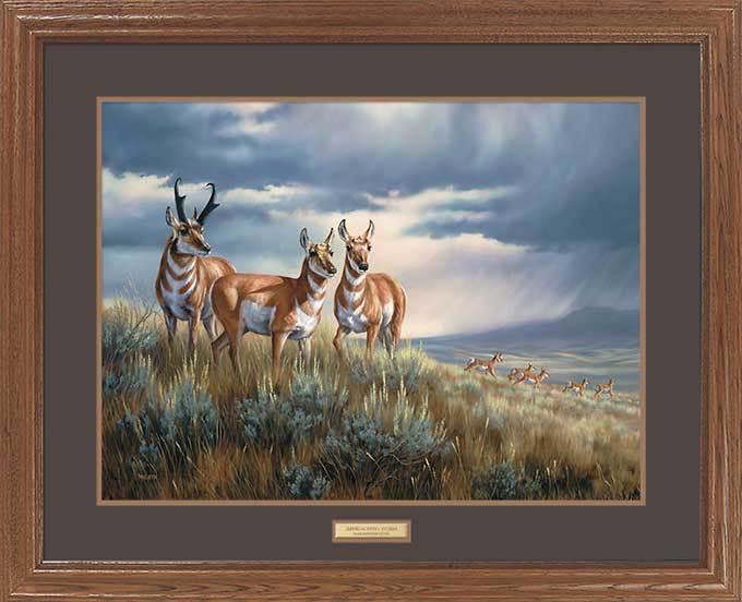 framed-pronghorns-art-print-approaching-storm-by-rosemary-millette-ELT1910567d_56c15eba-3168-4439-a89b-2efbc7a818b5.jpg