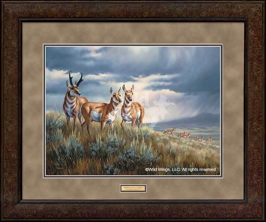 framed-pronghorns-art-print-approaching-storm-by-rosemary-millette-F593024067d_62542aa1-65b0-4bb6-a592-faa14344e9ab.jpg