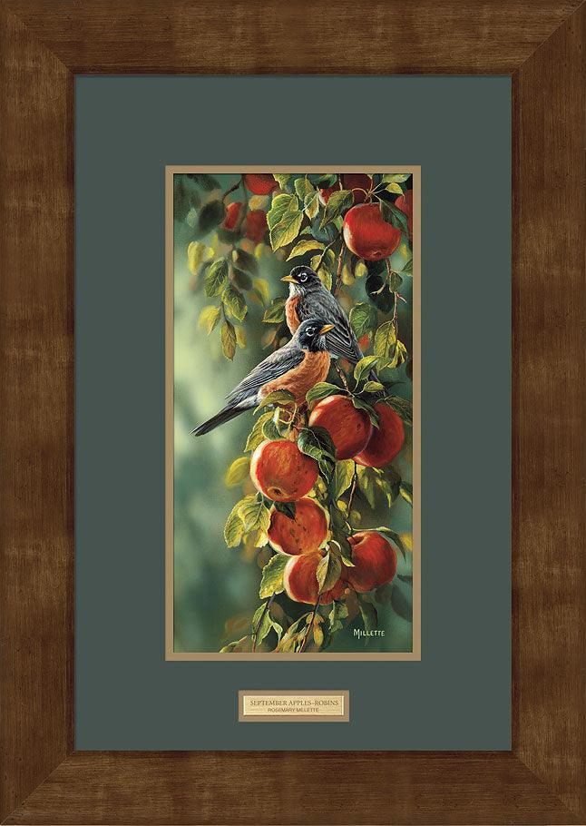 framed-robins-art-print-september-apples-by-rosemary-millette-F593700028d.jpg