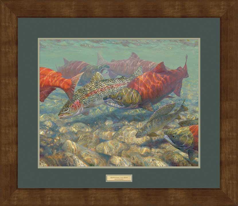 framed-salmon-fish-art-print-defending-the-redd-by-mark-susinno-F835138051d.jpg