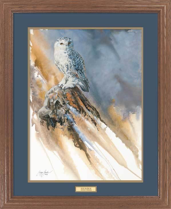 framed-snowy-owl-art-print-just-blew-in-by-janene-grende-EPR3513030d_492de880-25f0-435e-bfc7-9de220e201a3.jpg