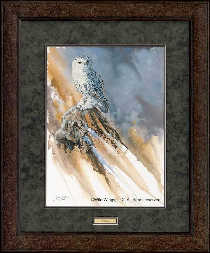 framed-snowy-owl-art-print-just-blew-in-by-janene-grende-EPR3513030dd_0c663222-1068-429b-a01e-b713b9deb389.jpg