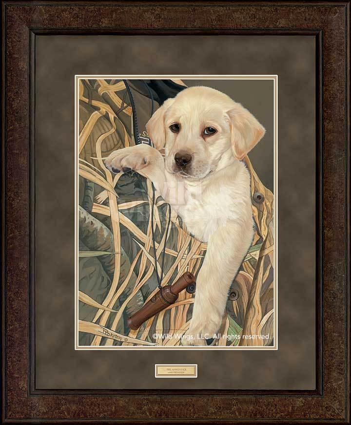 framed-the-apprentice-yellow-lab-puppy-art-print-by-larry-beckstein-EPR0470856Dd_df091b81-62b0-48d2-994c-cf638974a44b.jpg