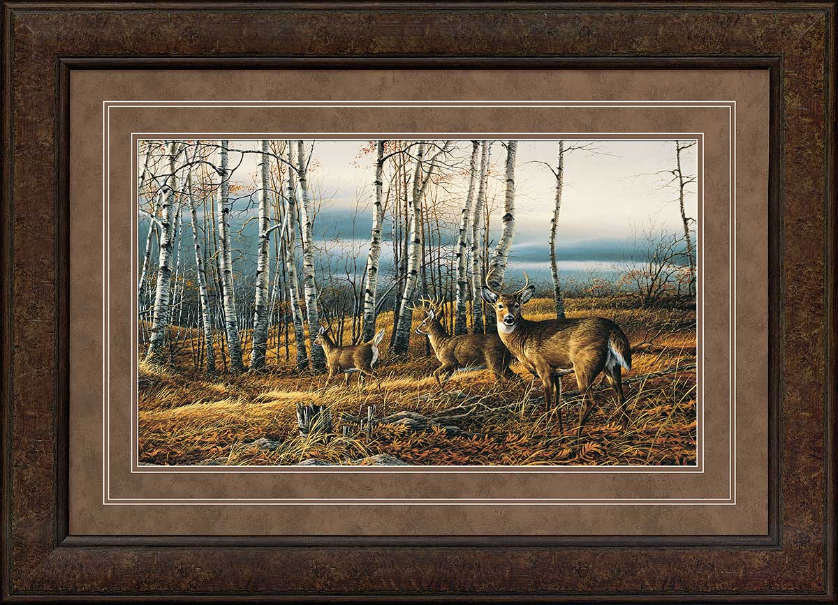 framed-the-birch-line-whitetail-deer-art-print-by-terry-redlin-F701135589Cd.jpg