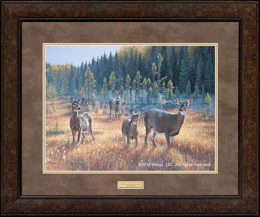 framed-whitetail-deer-art-print-bog-trek-by-jim-kasper-ELT1210065Dd_38a7621e-0221-4051-bb68-68d4fa956358.jpg