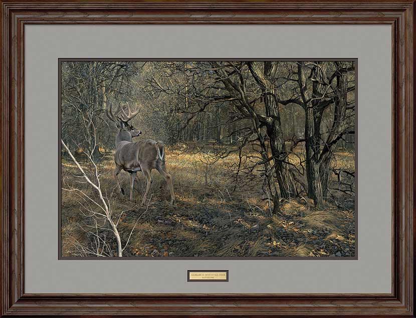 framed-whitetail-deer-art-print-monarch-by-scot-storm-F830579065d.jpg