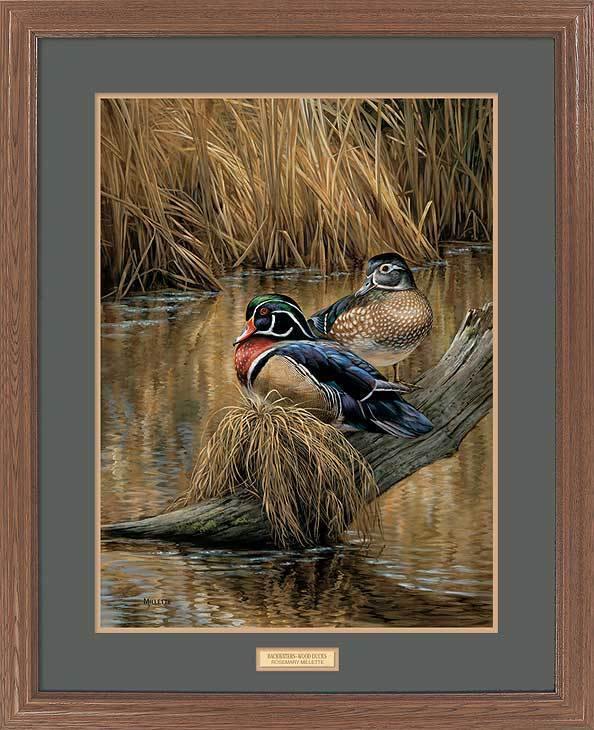 framed-wood-ducks-art-print-backwaters-by-rosemary-millette-ELT1911605d_31f8b7a0-7104-47ca-b413-a46e662b2c1b.jpg