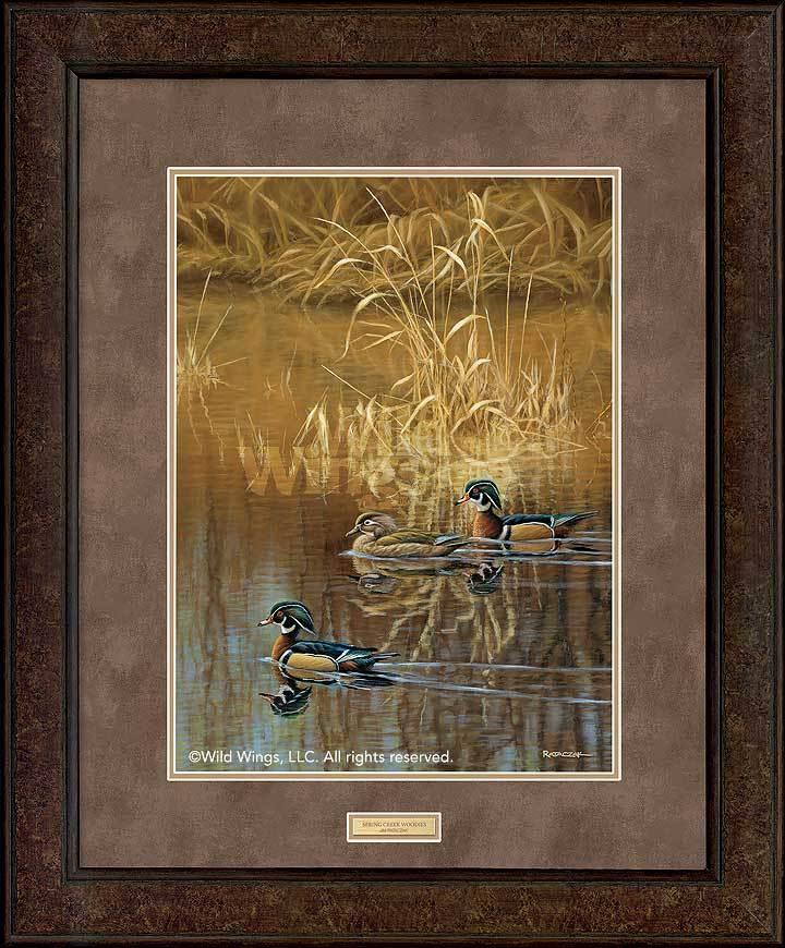 framed-wood-ducks-art-print-spring-creek-woodies-by-jim-rataczak-ELT2250005Dd_f93c9b21-0cbc-4e5f-aaaf-c8cd3cdaa3b8.jpg