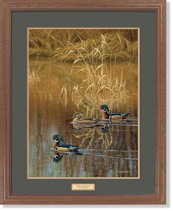 framed-wood-ducks-art-print-spring-creek-woodies-by-jim-rataczak-ELT2250005d_c292a43d-3230-4ac5-b51e-c48d2cada54f.jpg