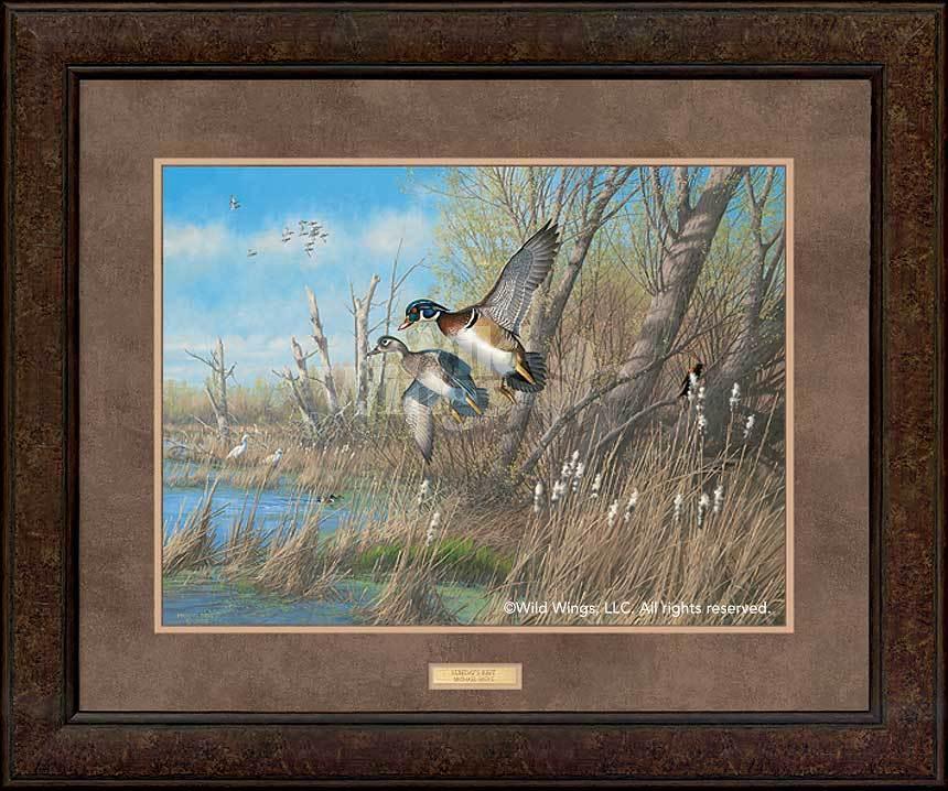 framed-wood-ducks-art-print-sunday-best-by-michael-sieve-ELT2414005Dd_2dace0a4-848f-4ec3-bf7a-342e8730ab09.jpg
