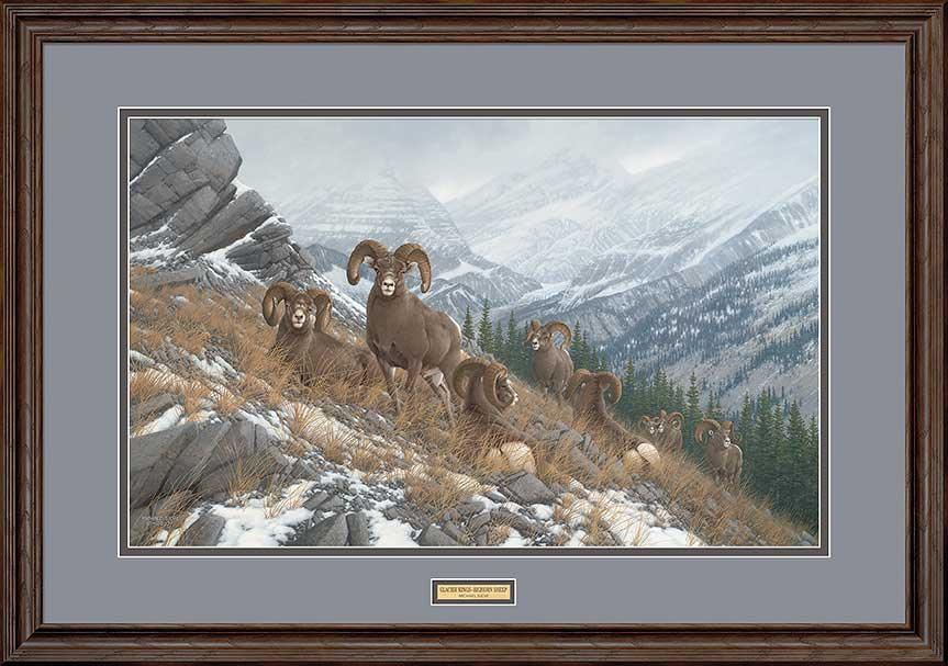 glacier-kings-bighorn-sheep-classic-framed-art-print-by-michael-sieve-F780264070d.jpg