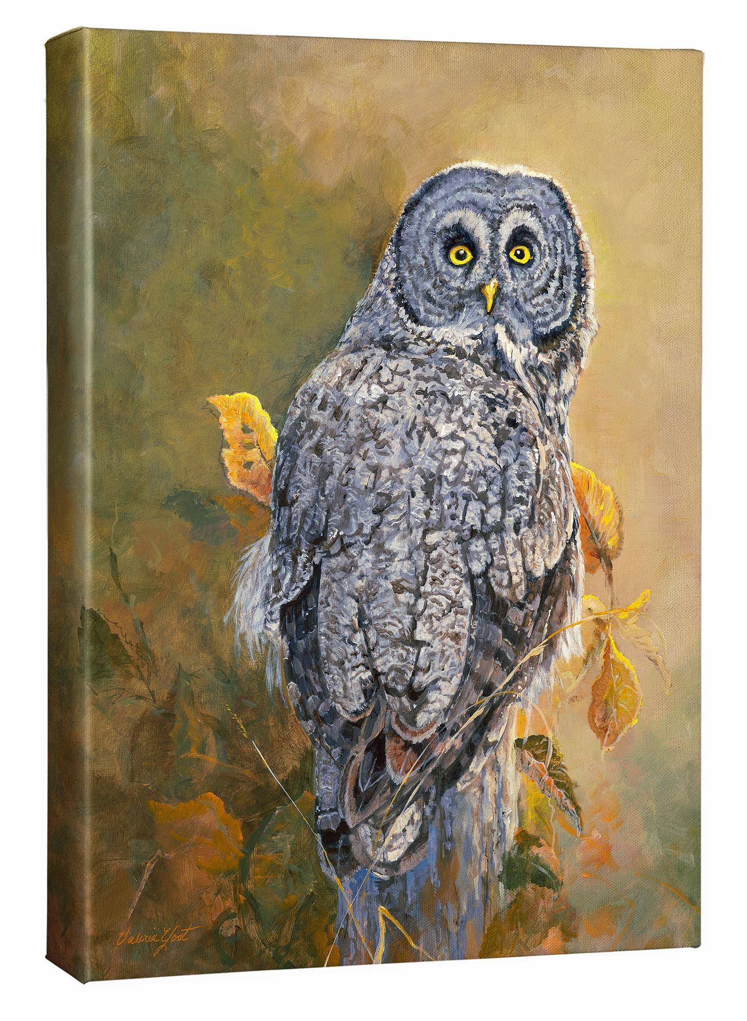 great-gray-owl-art-collection-F950030630IG.jpg