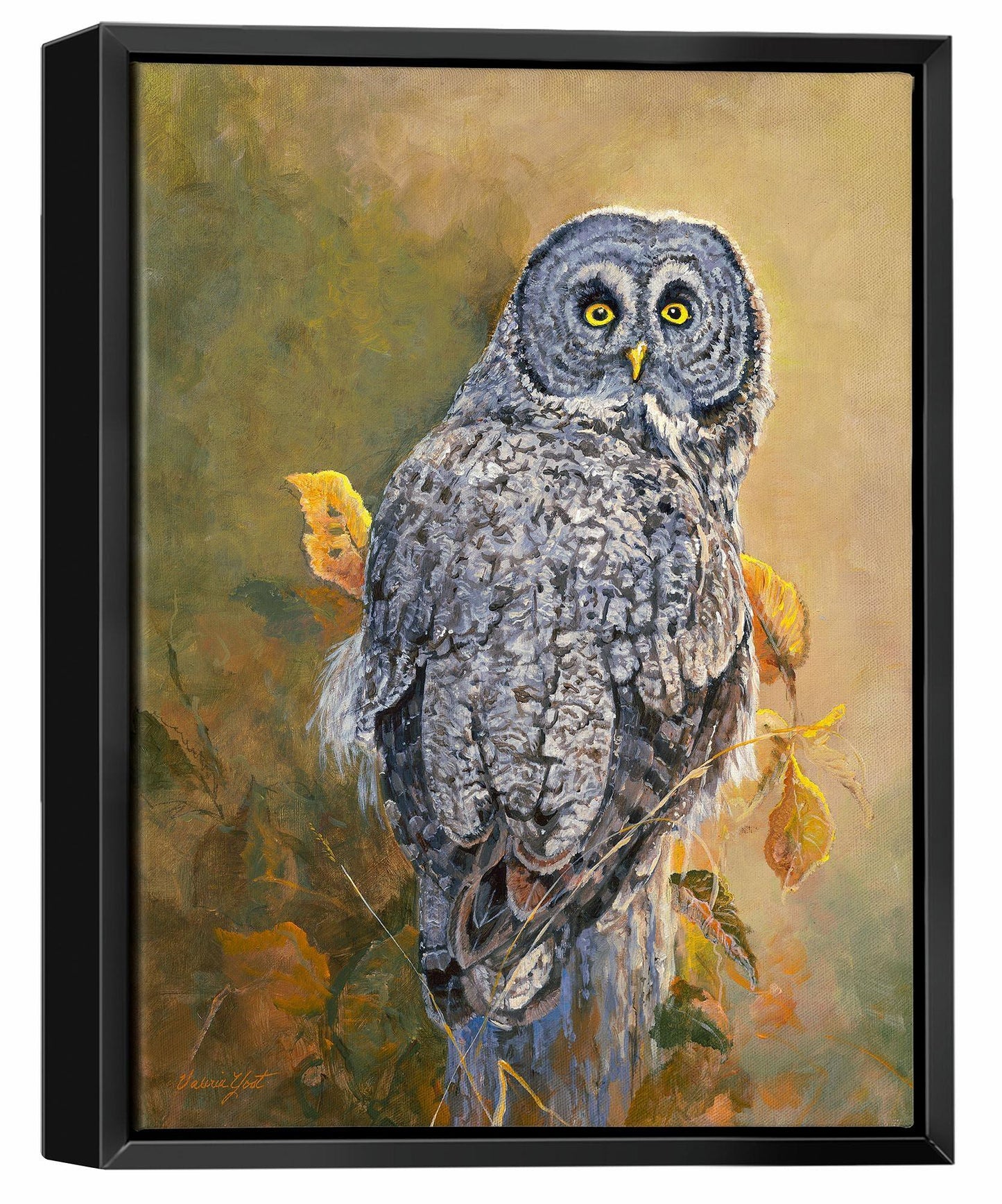 great-gray-owl-framed-canvas-F950030630SB.jpg