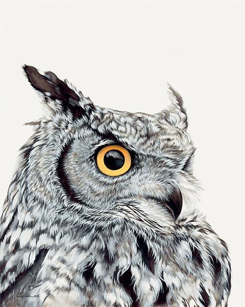 great-horned-owllongley-1521370630.jpg