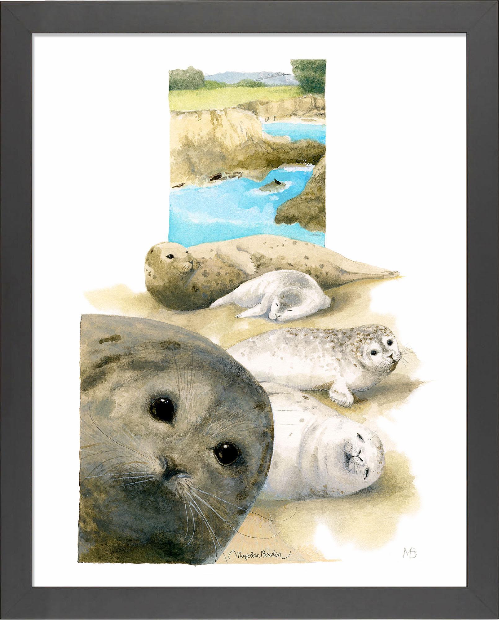 harbor-seals-at-sea-ranch-framed-print-F058322578B.jpg