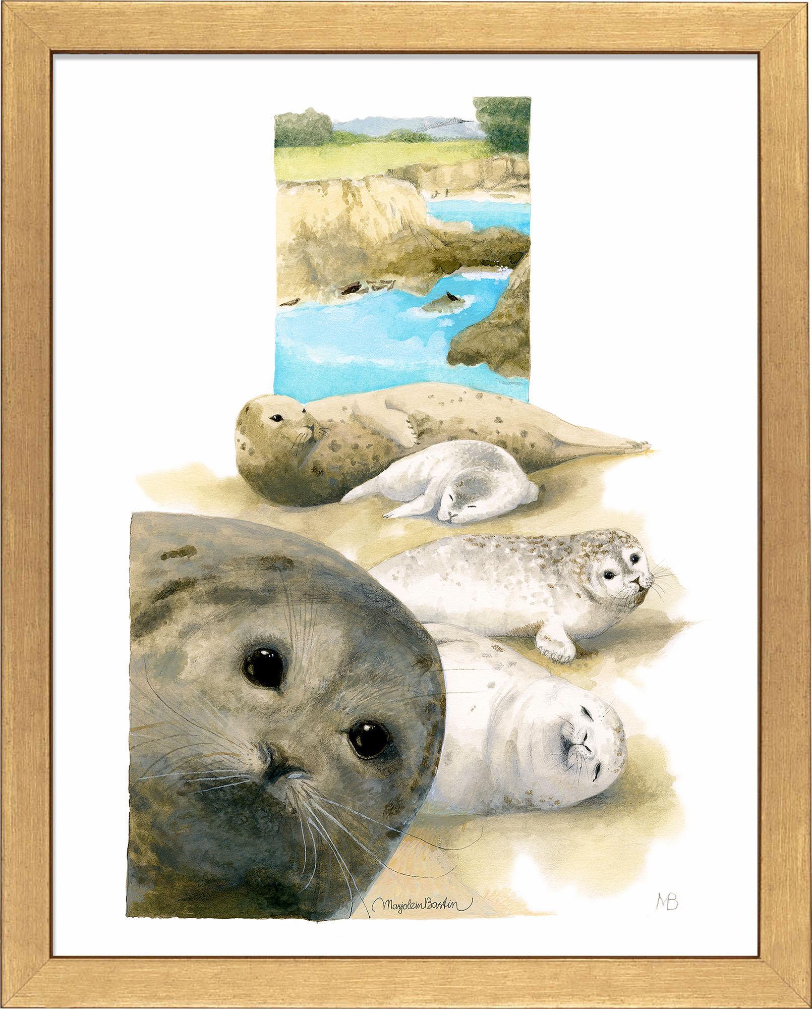 harbor-seals-at-sea-ranch-framed-print-F058322578G.jpg