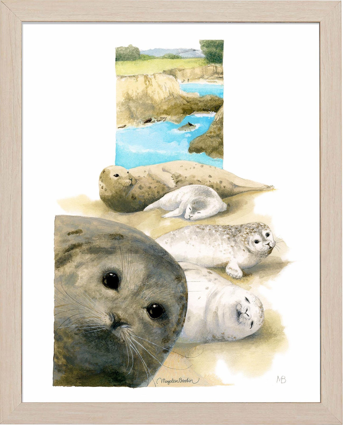harbor-seals-at-sea-ranch-framed-print-F058322578N.jpg